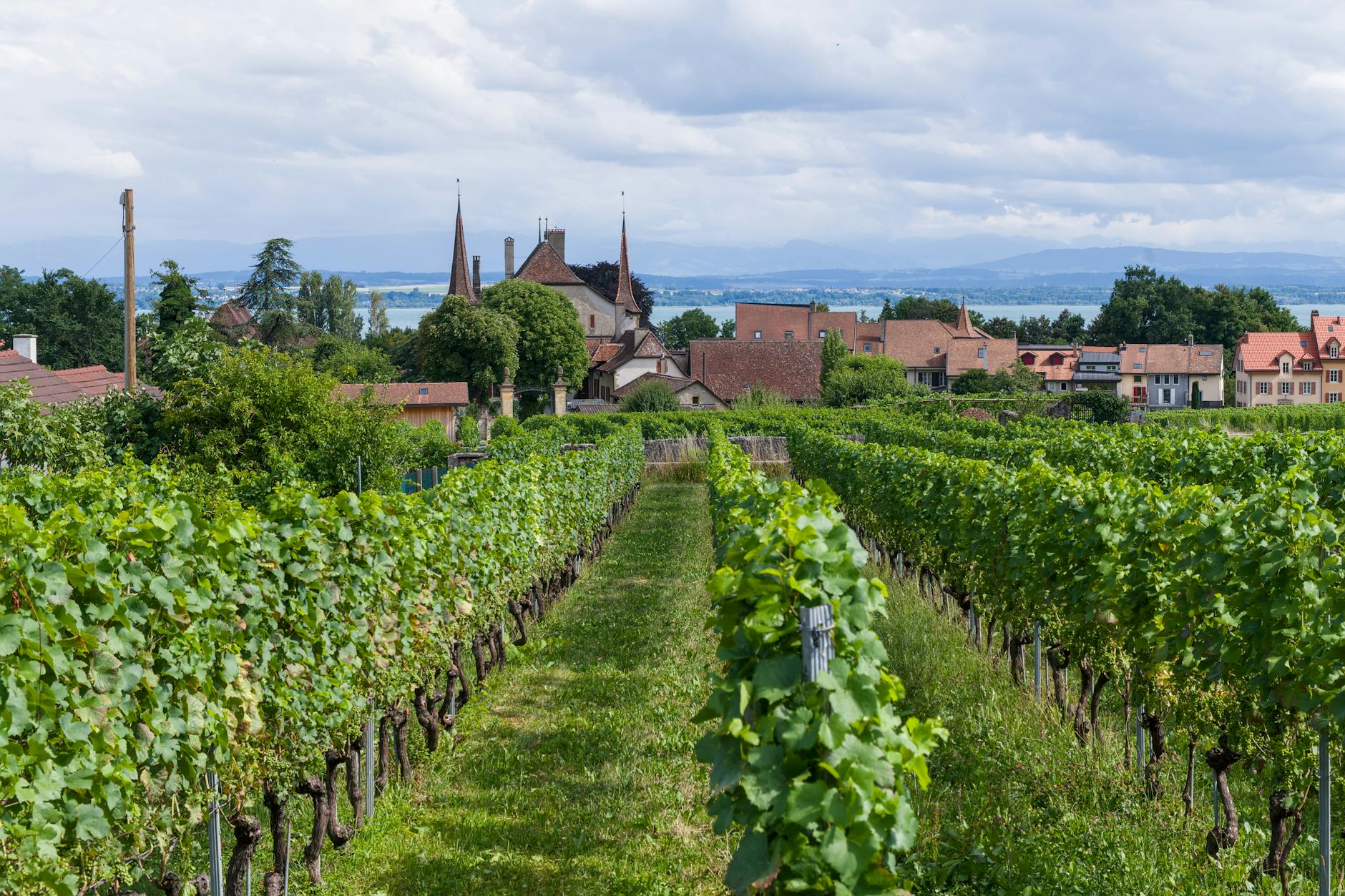 Christian Tour vine la Bursă: primul IPO din turism