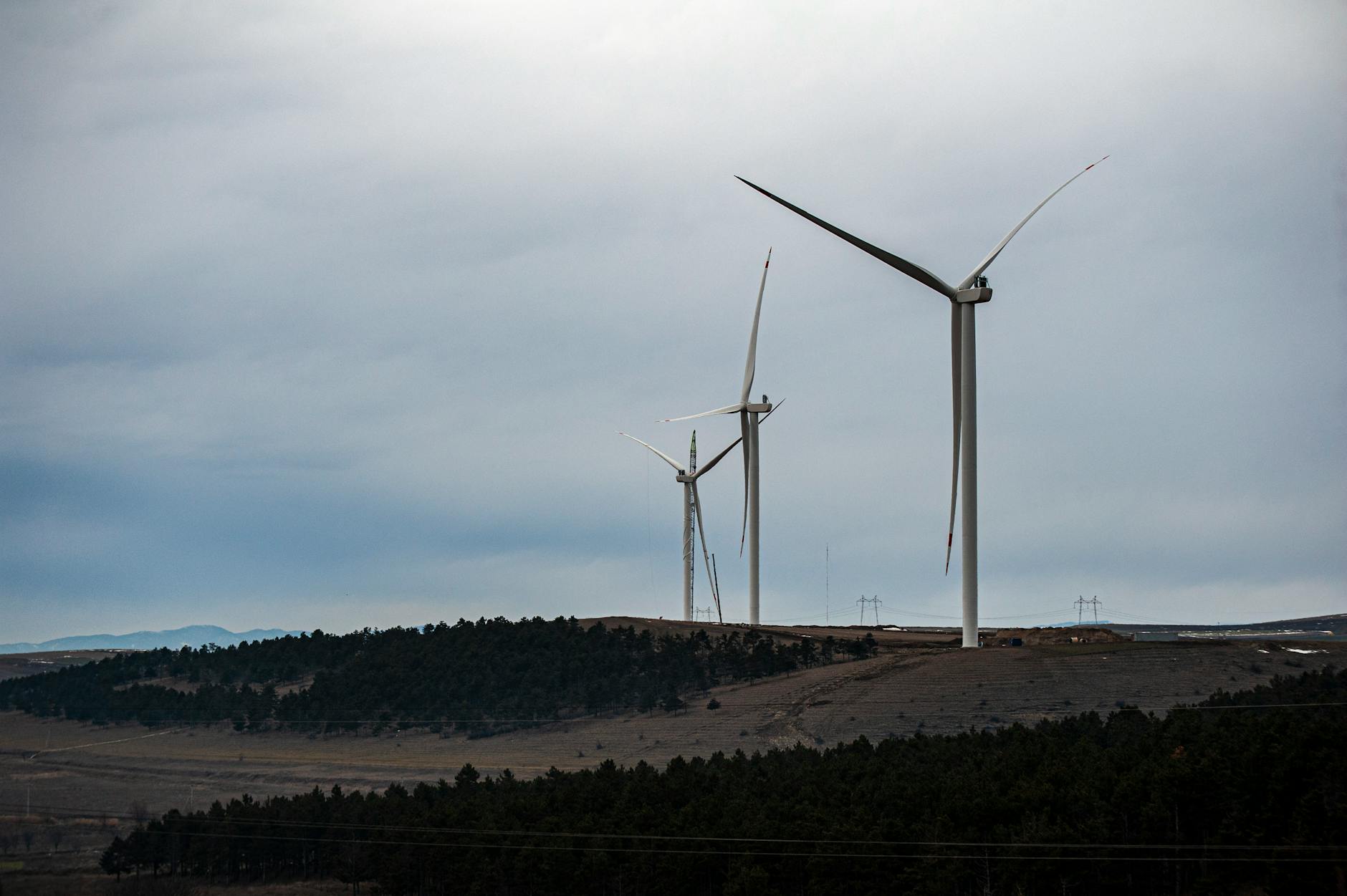 Premier Energy cumpără rețeaua electrică din Oltenia cu 700 mil. EUR