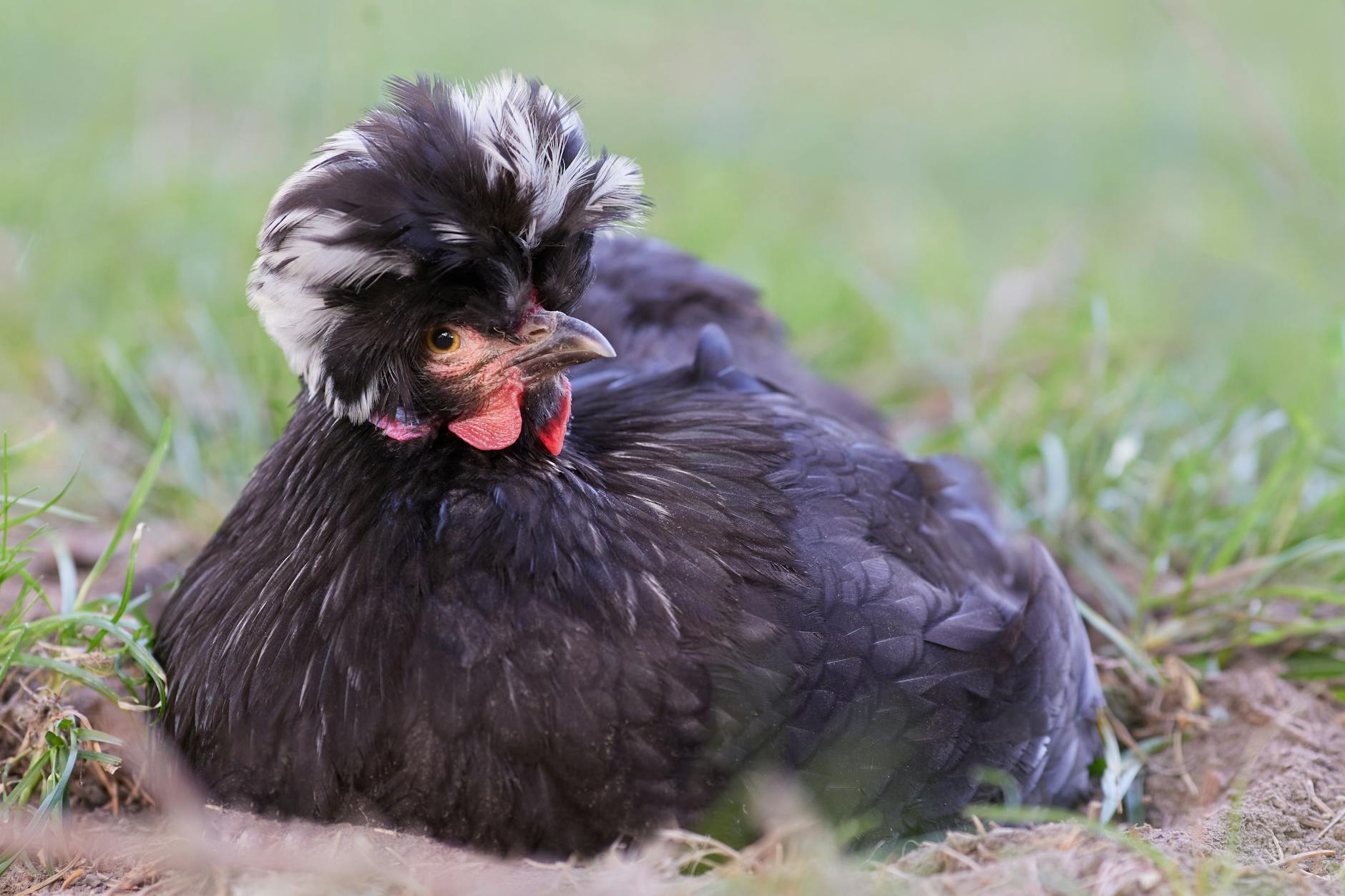 Petrolul crește brusc, Europa riscă criză de kerosene