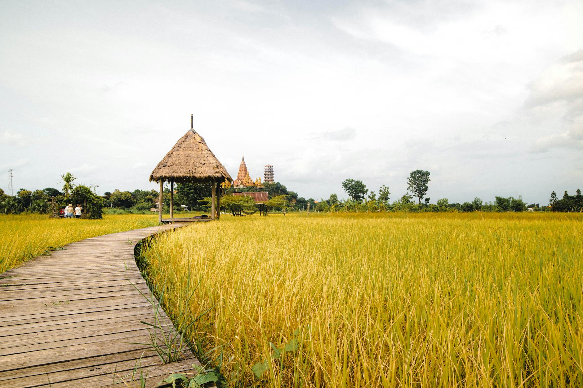 SUA lansează rambursarea taxelor vamale anulate