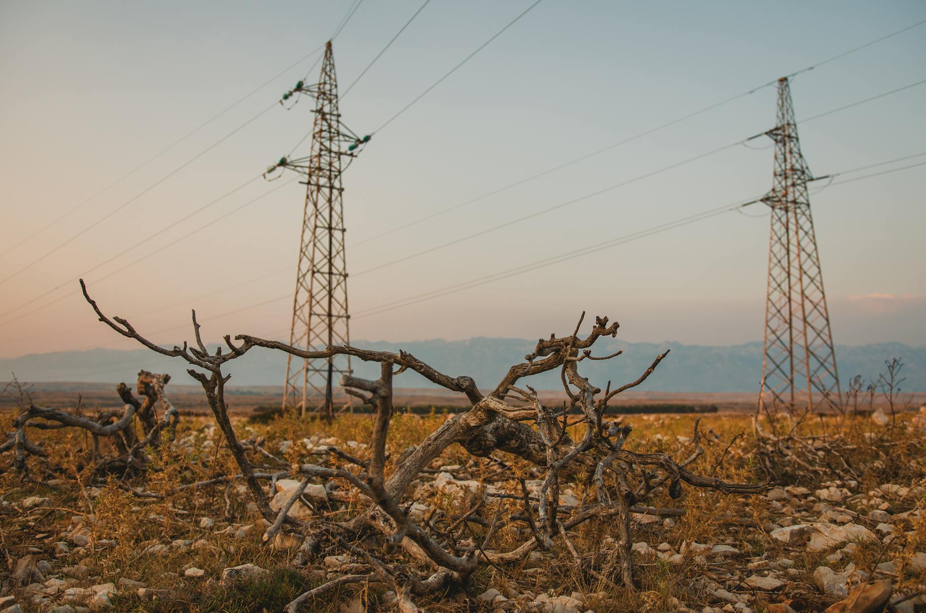 DIICOT destructurează o rețea de droguri cu clienți minori