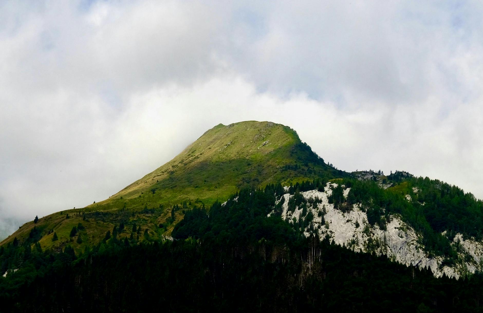 Germania și Italia taie prognozele PIB pe fondul războiului