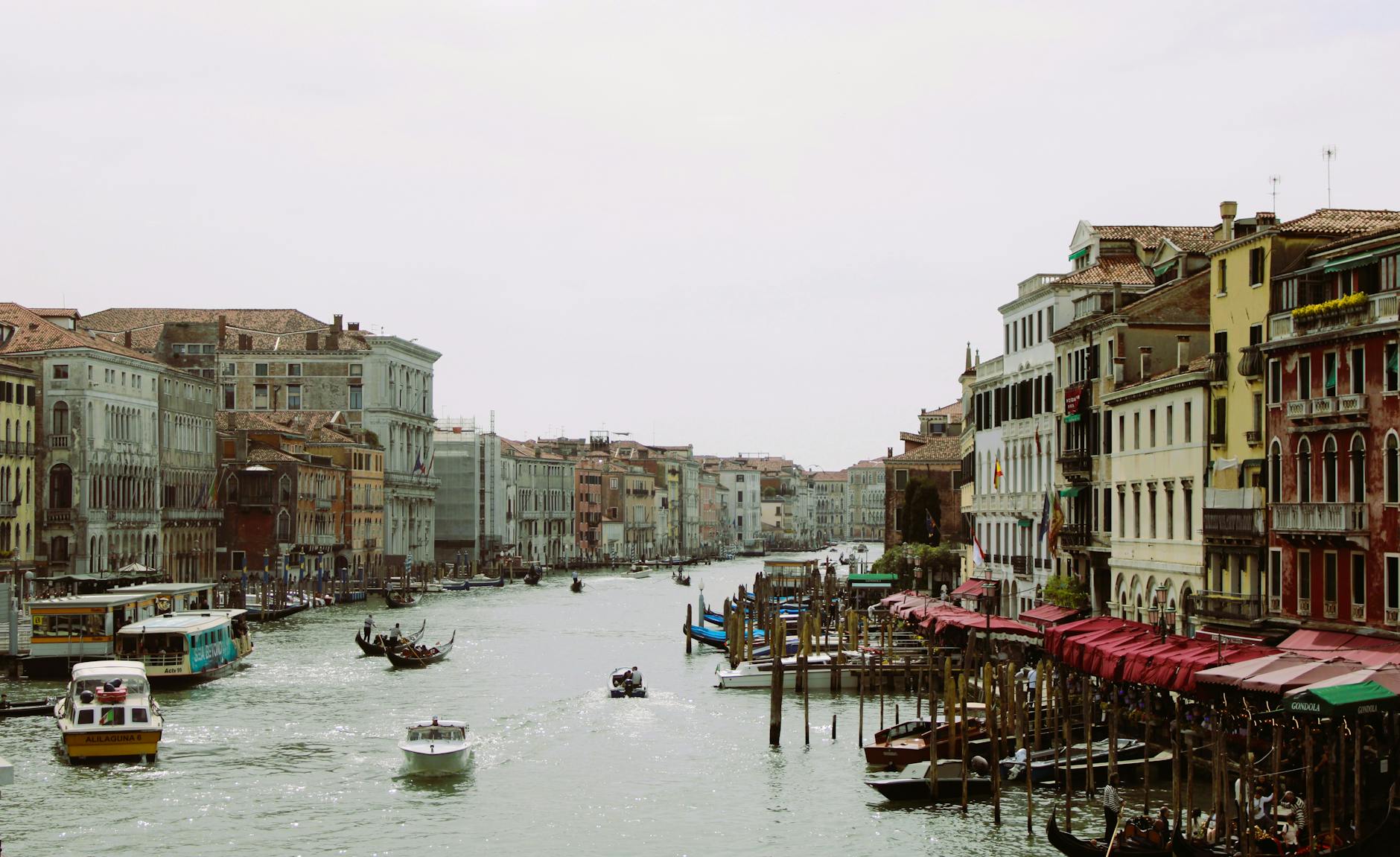 Juriul Bienalei de la Veneția demisionează în bloc