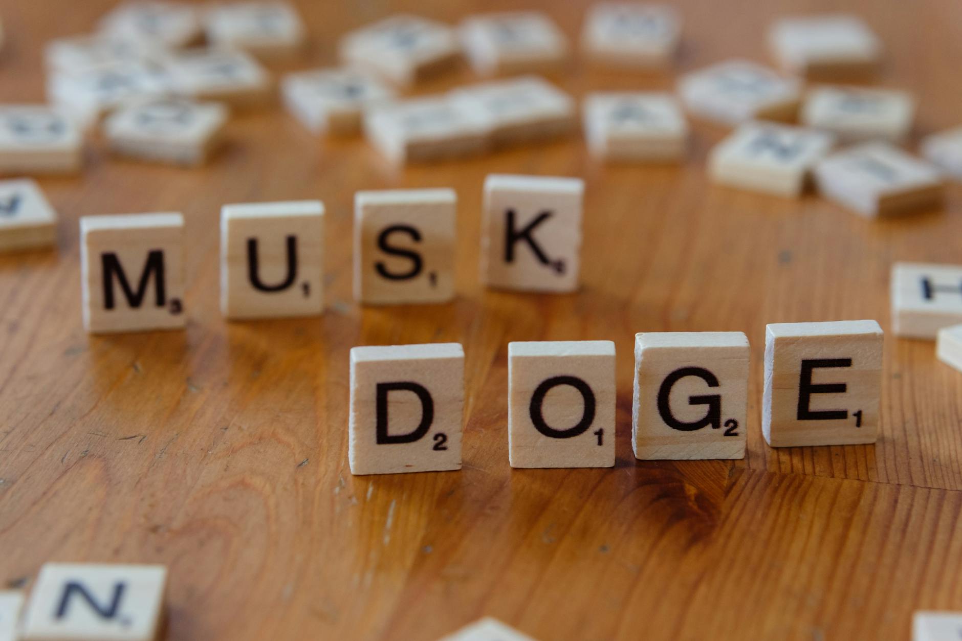 Musk pierde procesul cu OpenAI: cale liberă pentru IPO