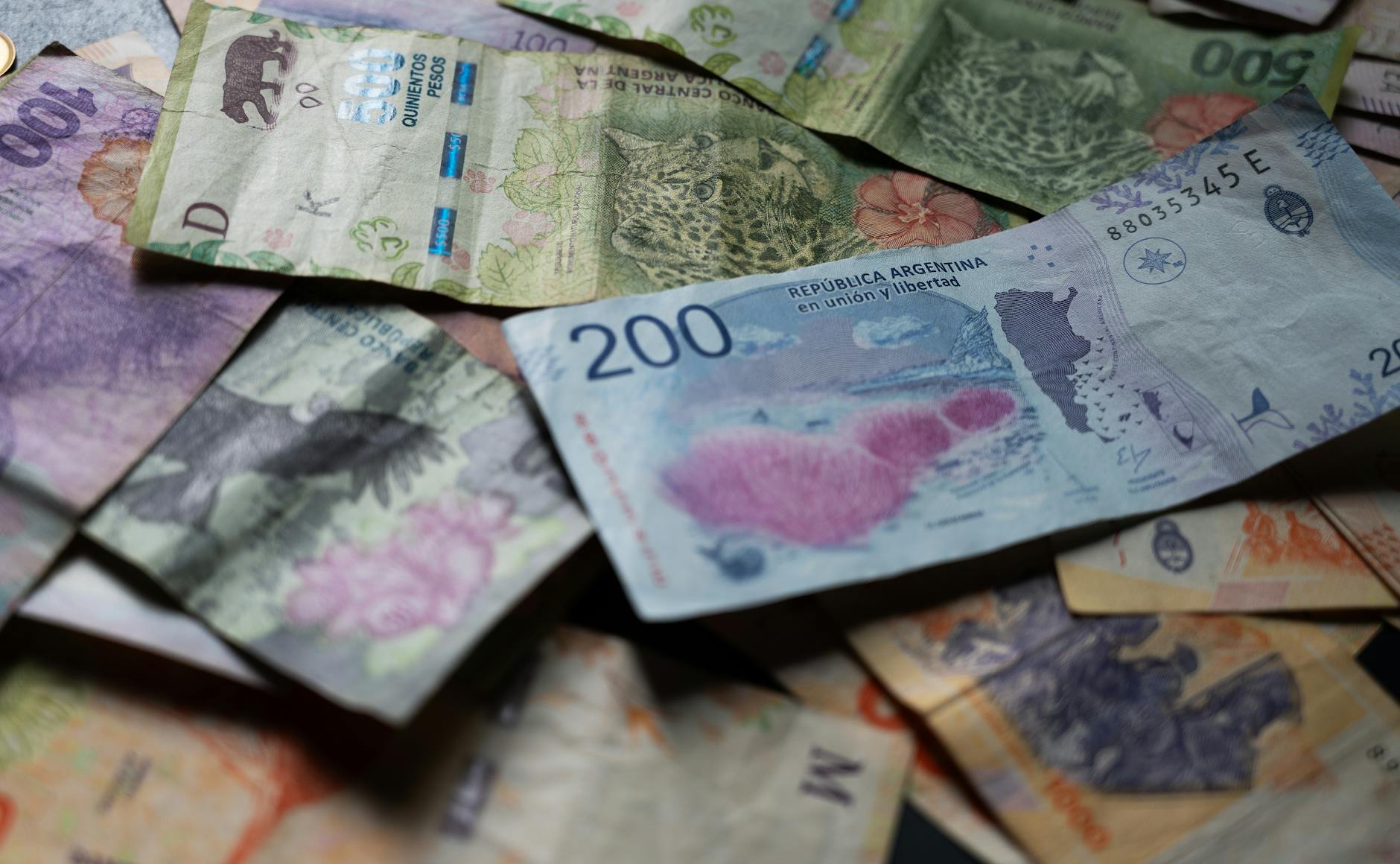 Razie la Sintești: 200 de agenți, tone de cupru confiscate