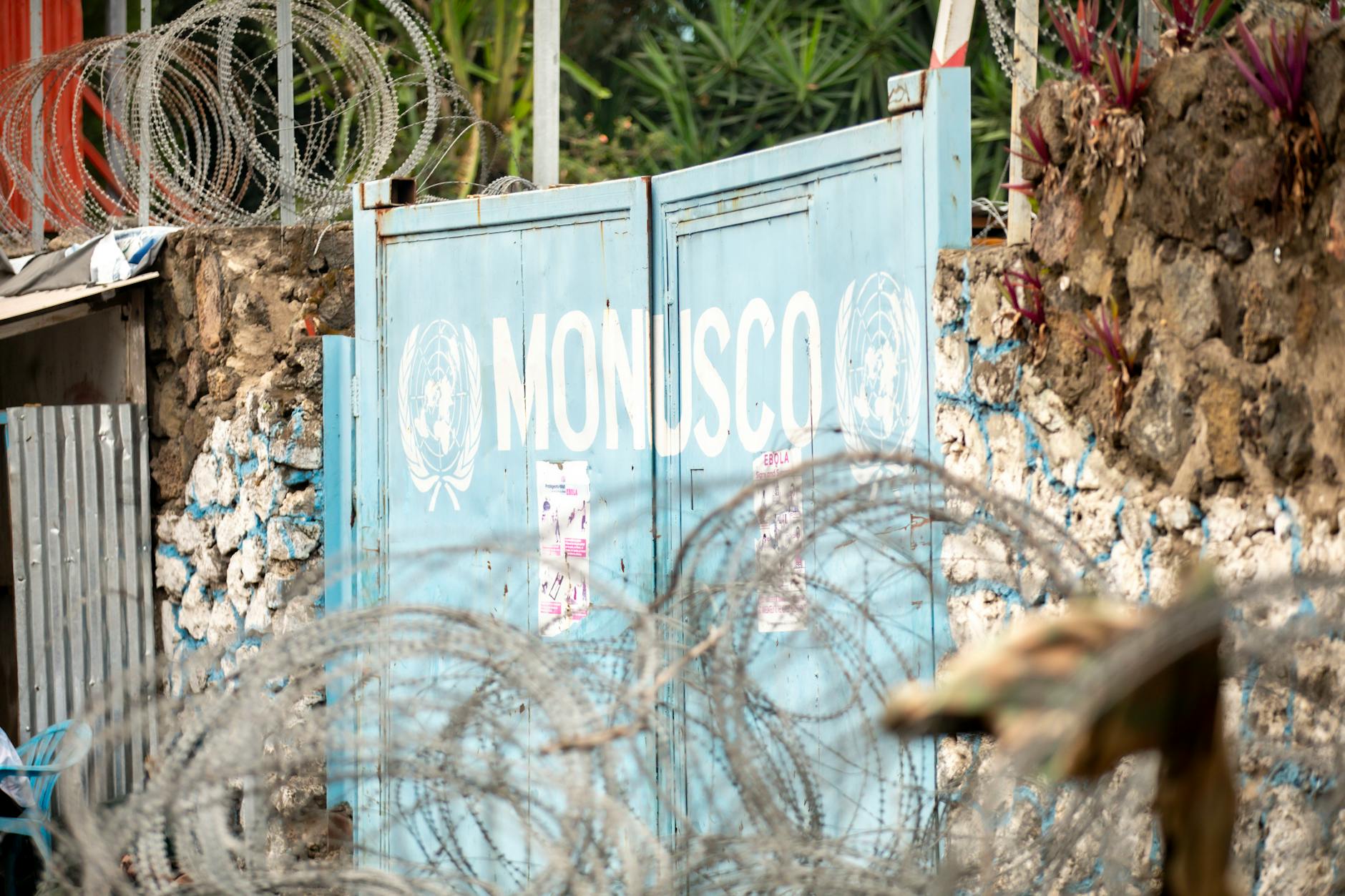Ebola în Congo: OMS la epicentru, cazuri „fără precedent”