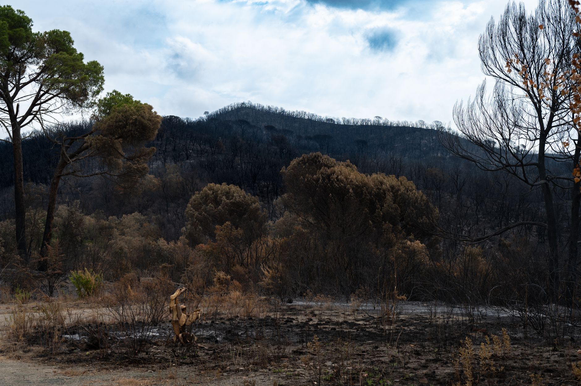 Incendii Spania: 12 morți, cuplu britanic ars la Bédar