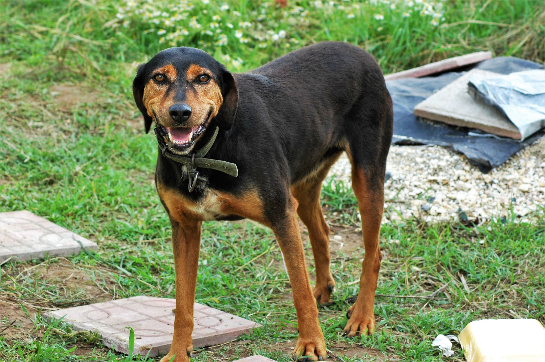 Franța adoptă legea morții asistate: 291-241 în Adunare