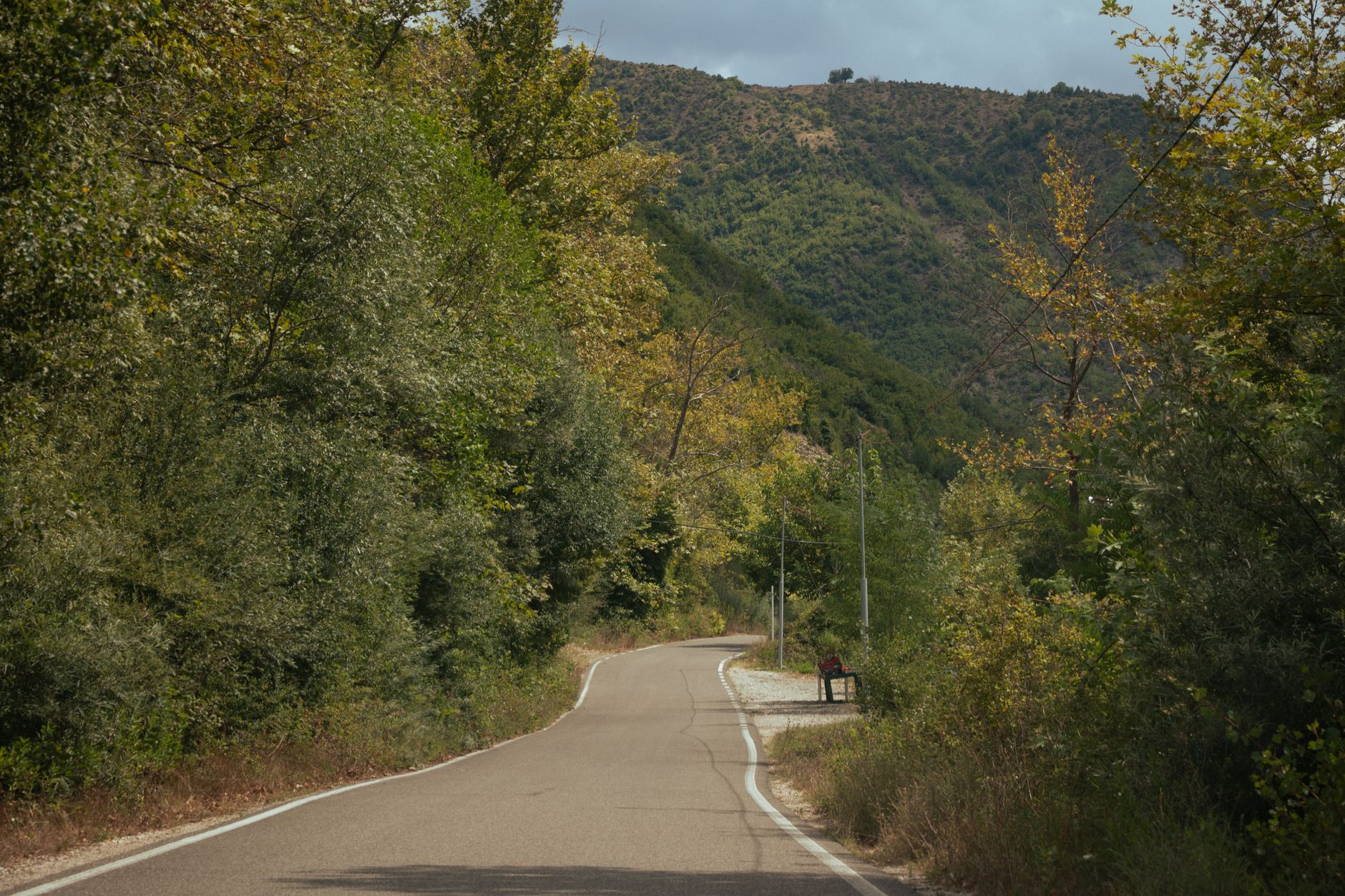Oierii ies în stradă: gaze lacrimogene și demisia șefului ANSVSA