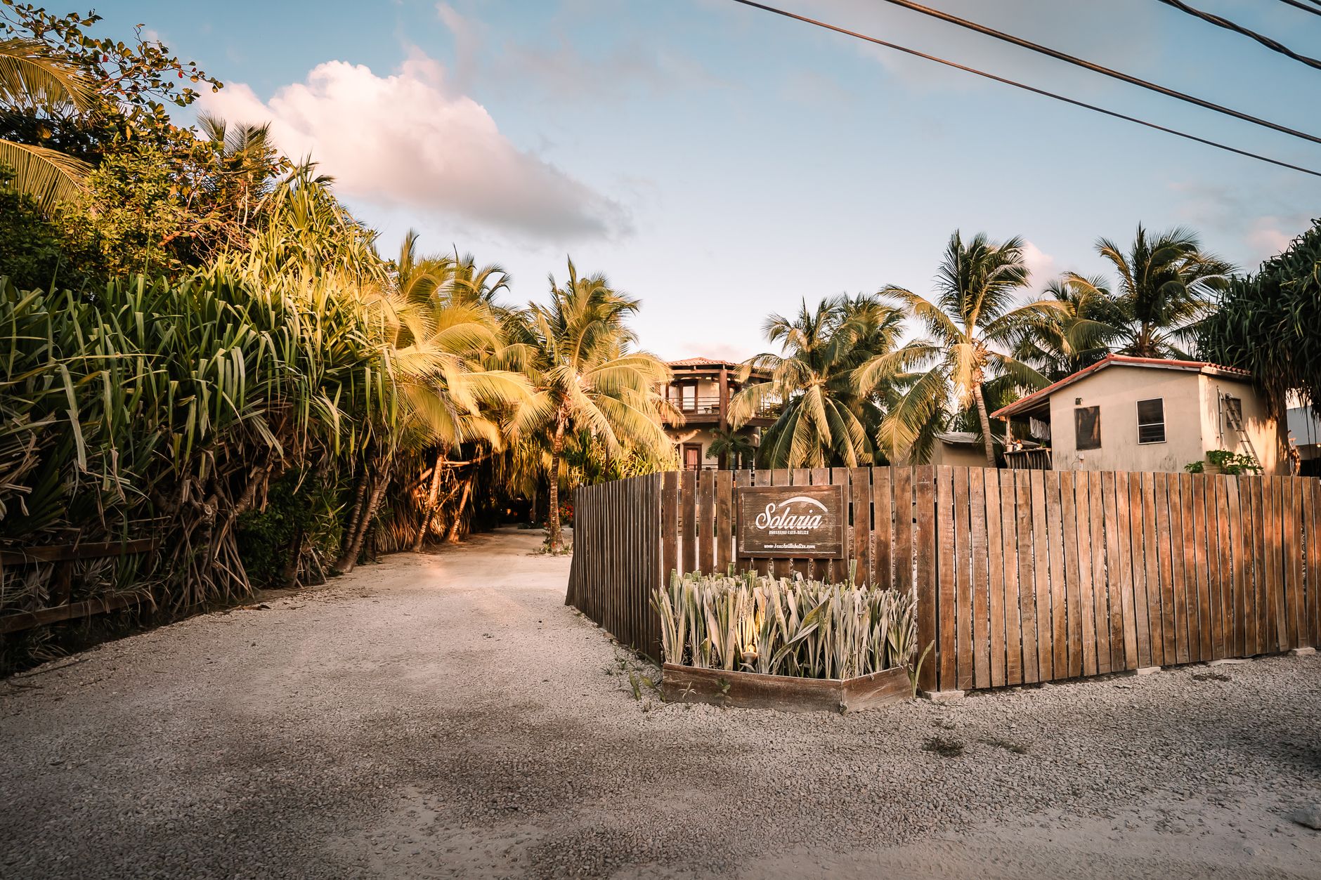 Leavitt se retrage de la Casa Albă: familia în locul podiumului