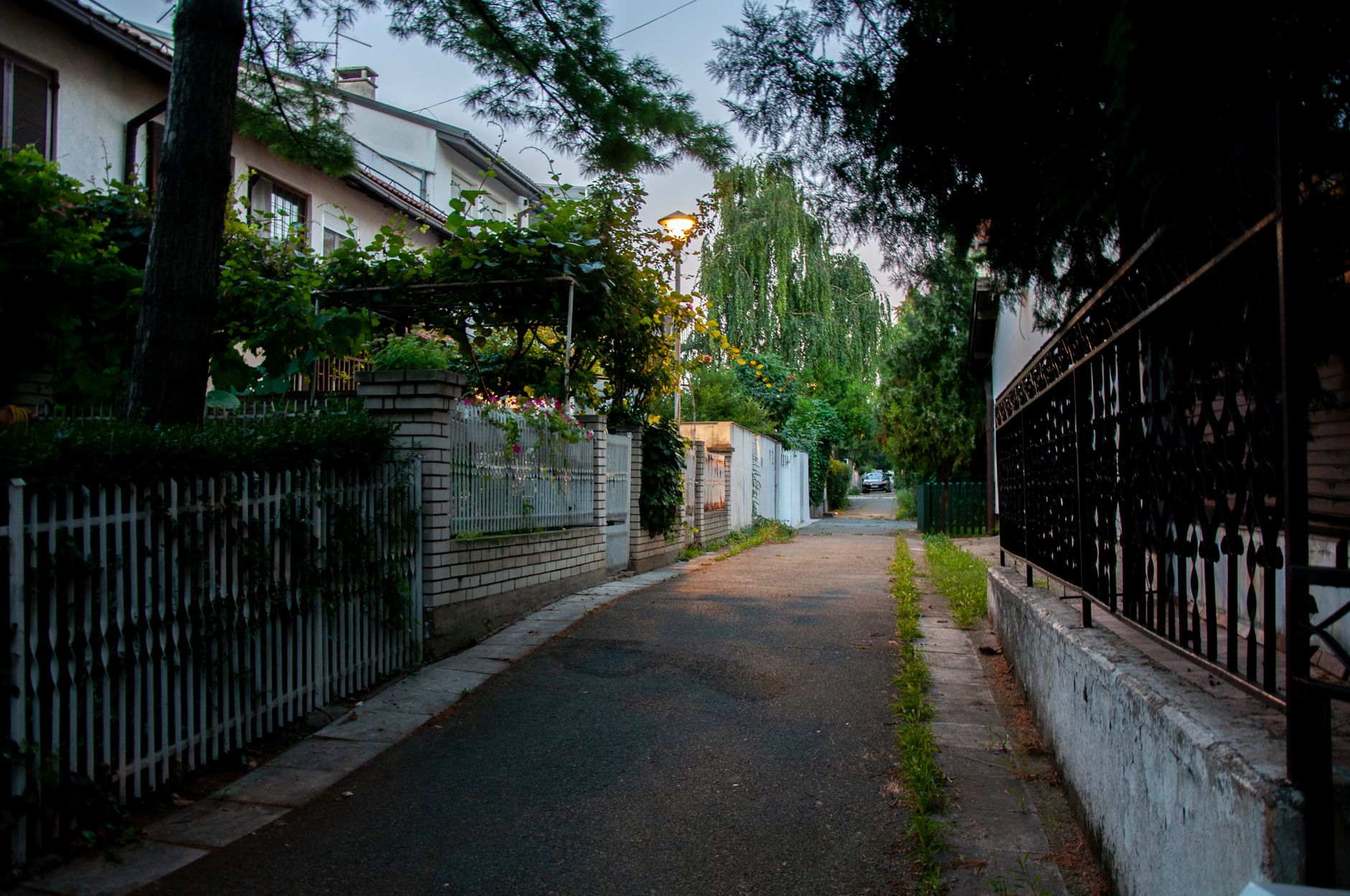 Franța: Curtea blochează legea care interzicea rețele sociale copiilor