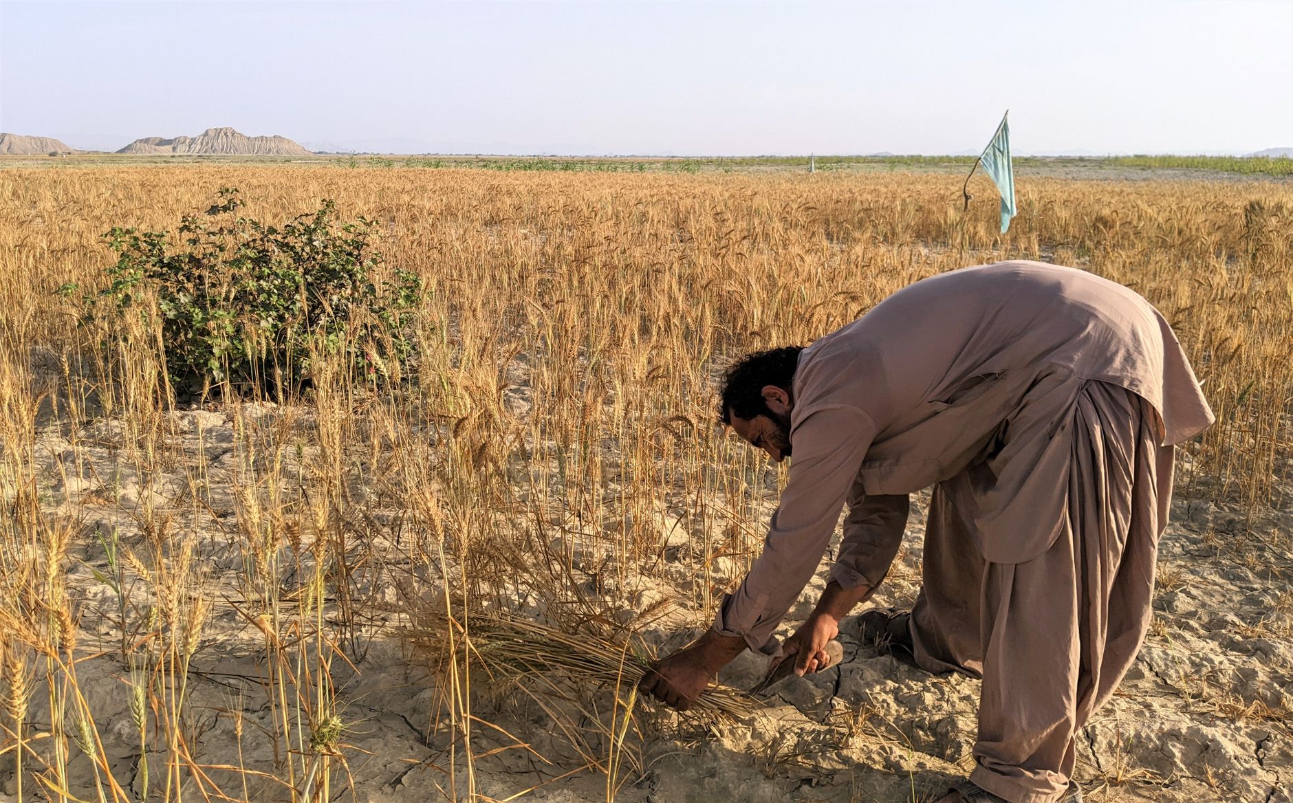 Pakistan: 14 nou-născuți au murit în incendiu la maternitatea PIMS