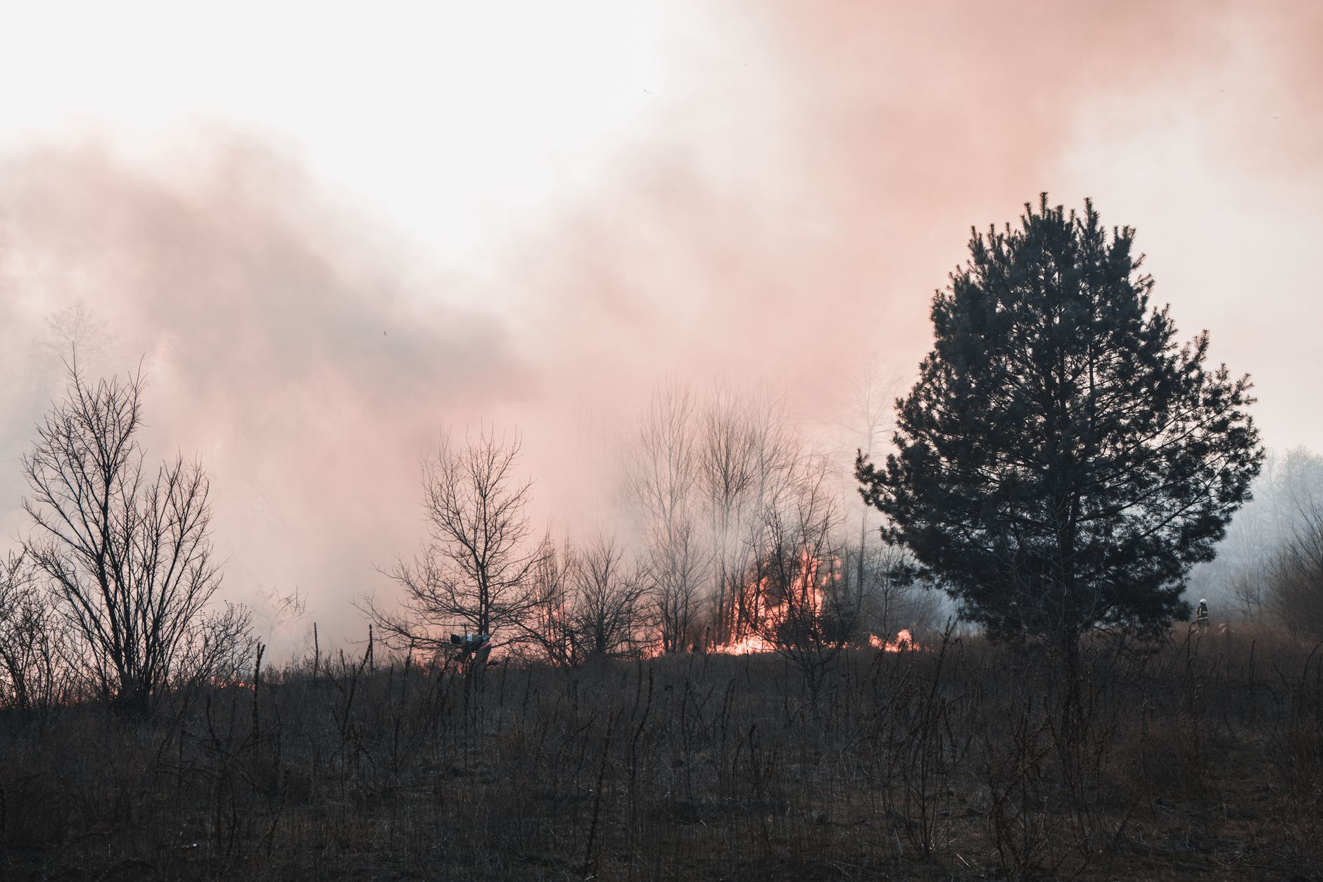 Ucraina incendiază al treilea centru Yandex: 80 de servicii blocate